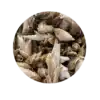 yunnan silver bud ya bao