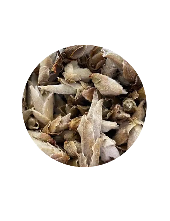yunnan silver bud ya bao
